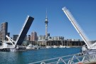 auckland tour